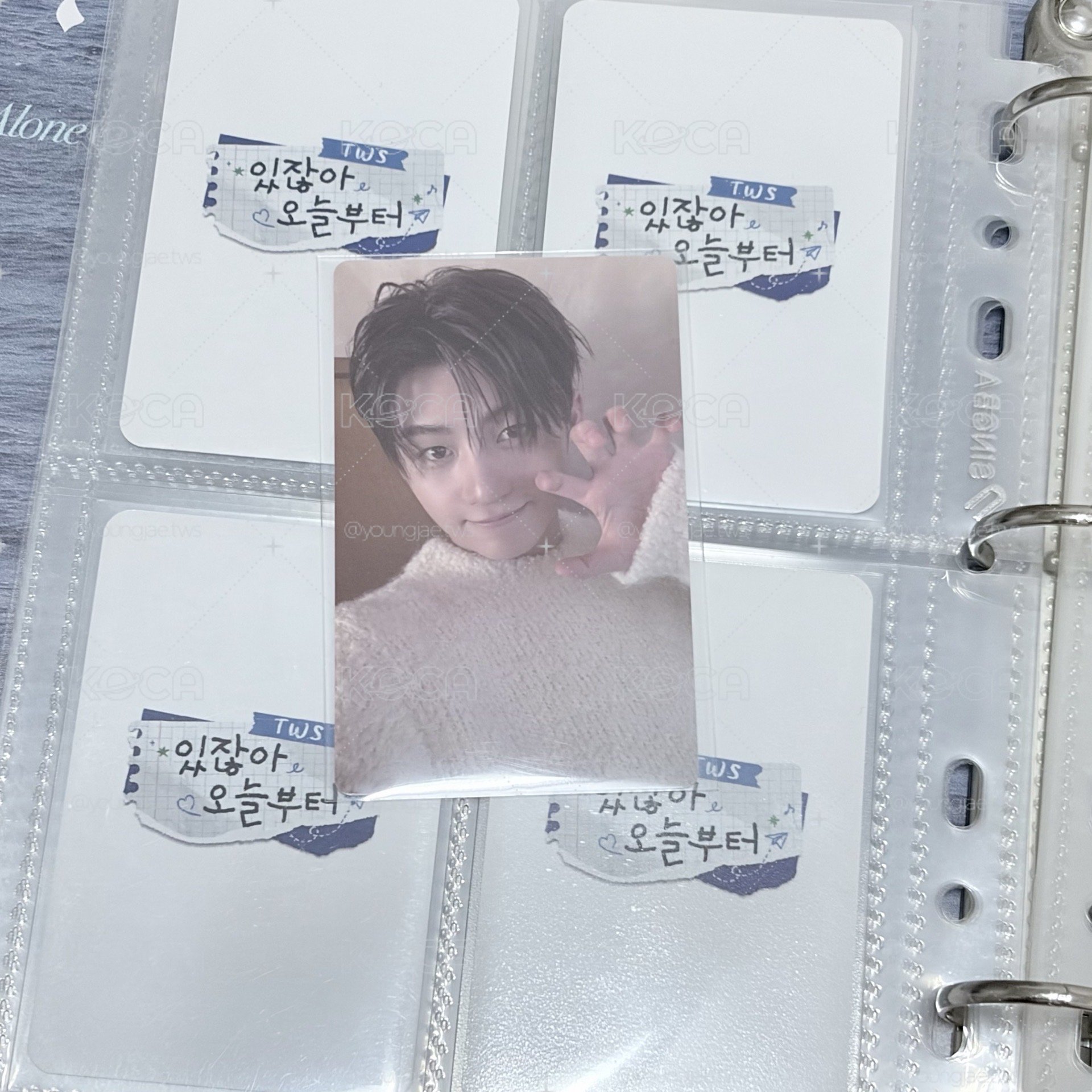 🪼wvs 簽售卡