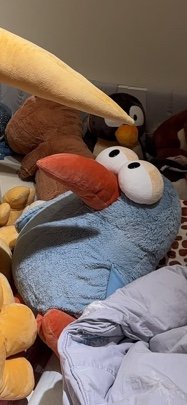 卡冊爆滿來出卡の人