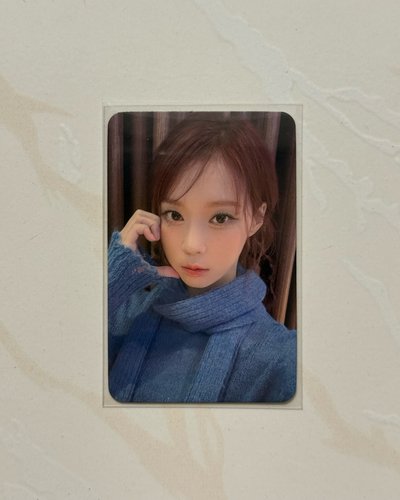 [可單出］藍莓冬 有損