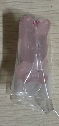 豬兔