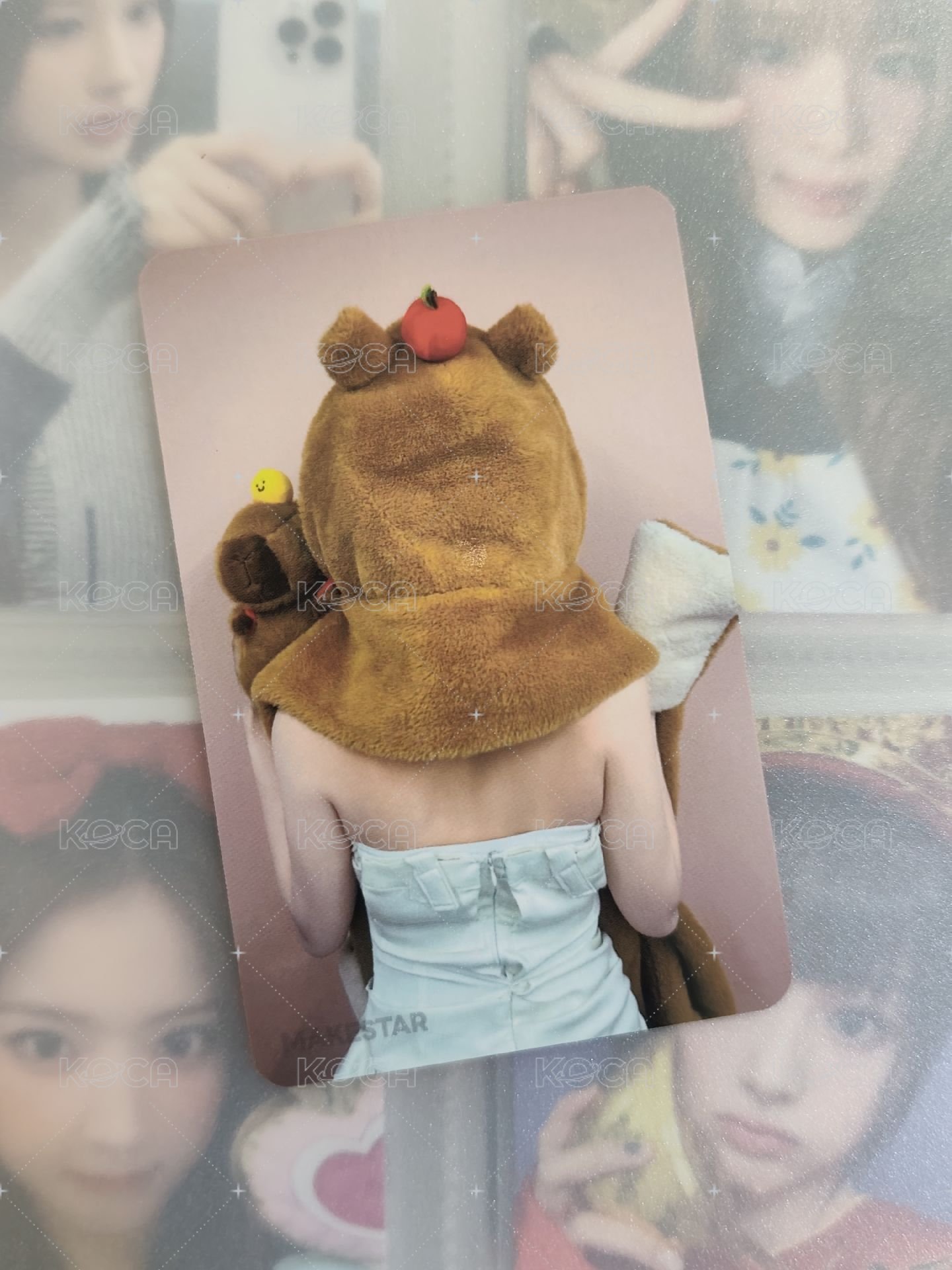 💌卡皮巴拉薛