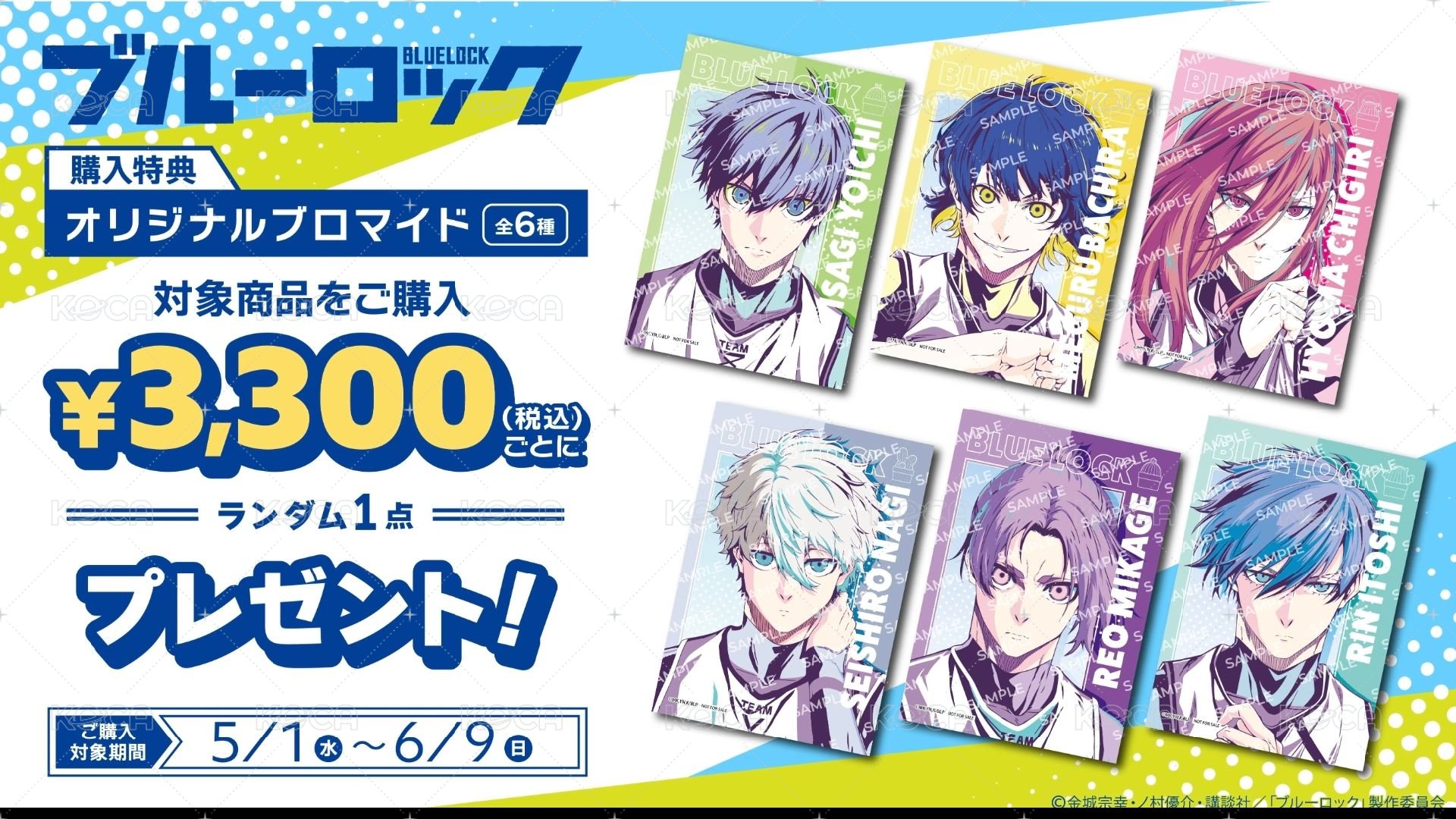 anique   特典卡  背面