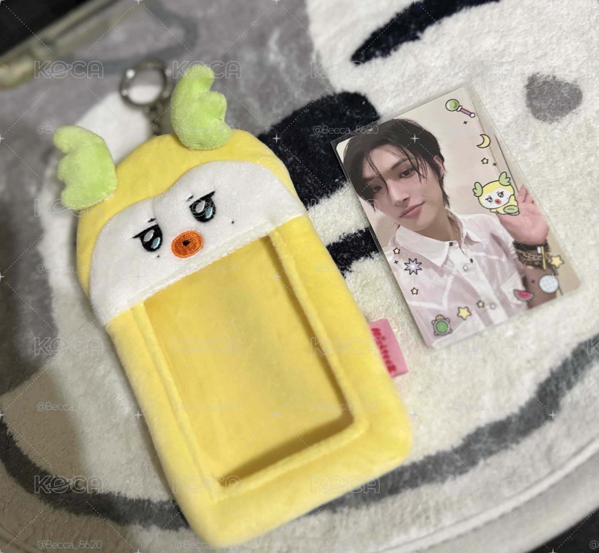 琦 卡套(含卡) 