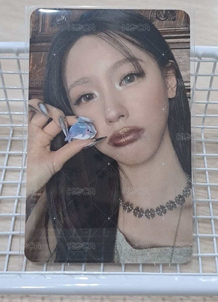 we are特典韓背
