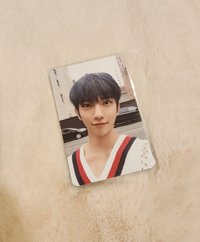 迷你七專輯卡🐱