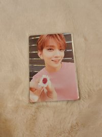 正二白專輯卡🐱