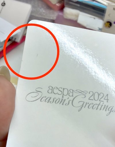 馬爾濟斯小狗就這樣萌萌盯著你 芭蕾正臉冬