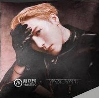 王嘉爾海底撈 抱枕 