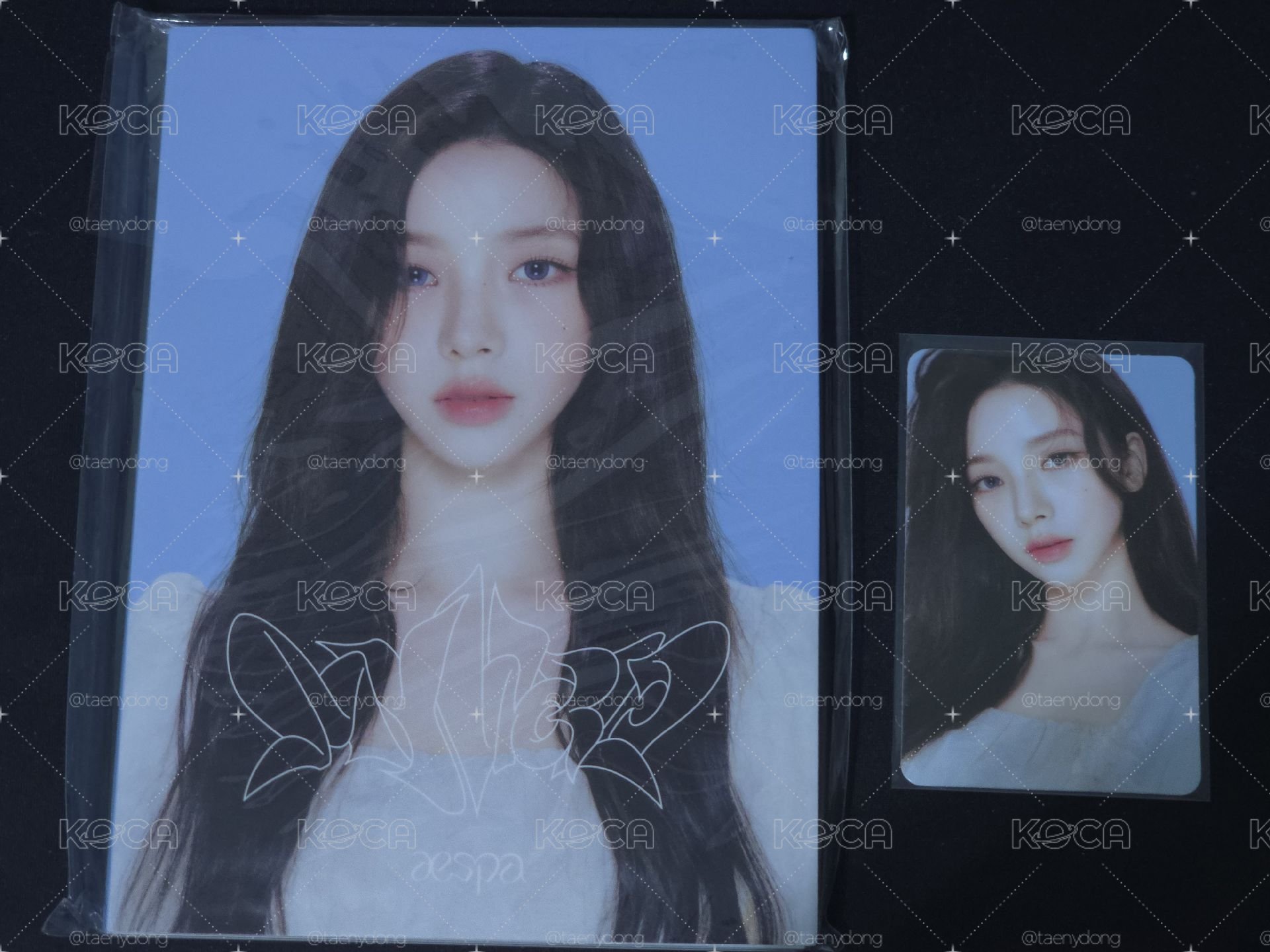 （整組售）MY WORLD 快閃明信片書 Karina 
