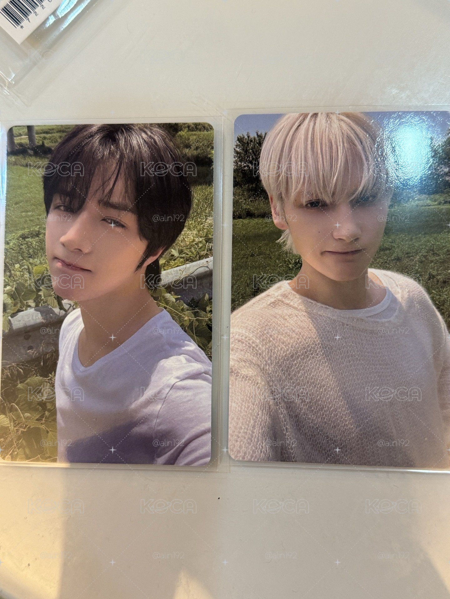 TXT SC特典圭寧