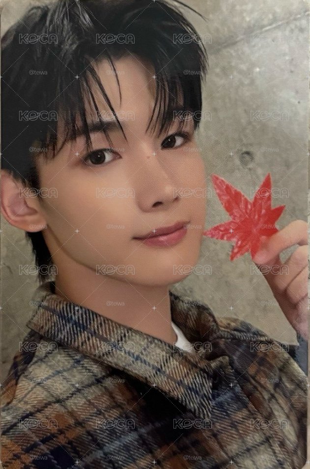 拿著🍁