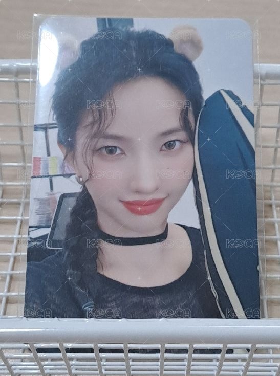 正規二倉鼠