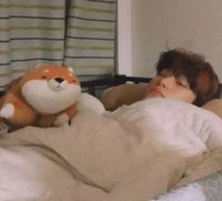 고양이를 좋아합니다🐱