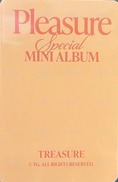 PLEASURE   卡包 周邊卡  背面