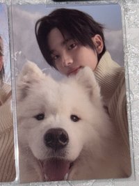 ˢⁱⁿᵍˡᵉ ¹單封卡🐶