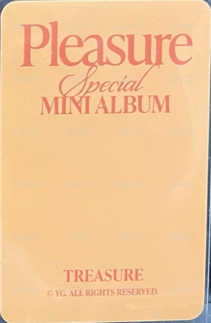 PLEASURE   卡包 周邊卡  背面