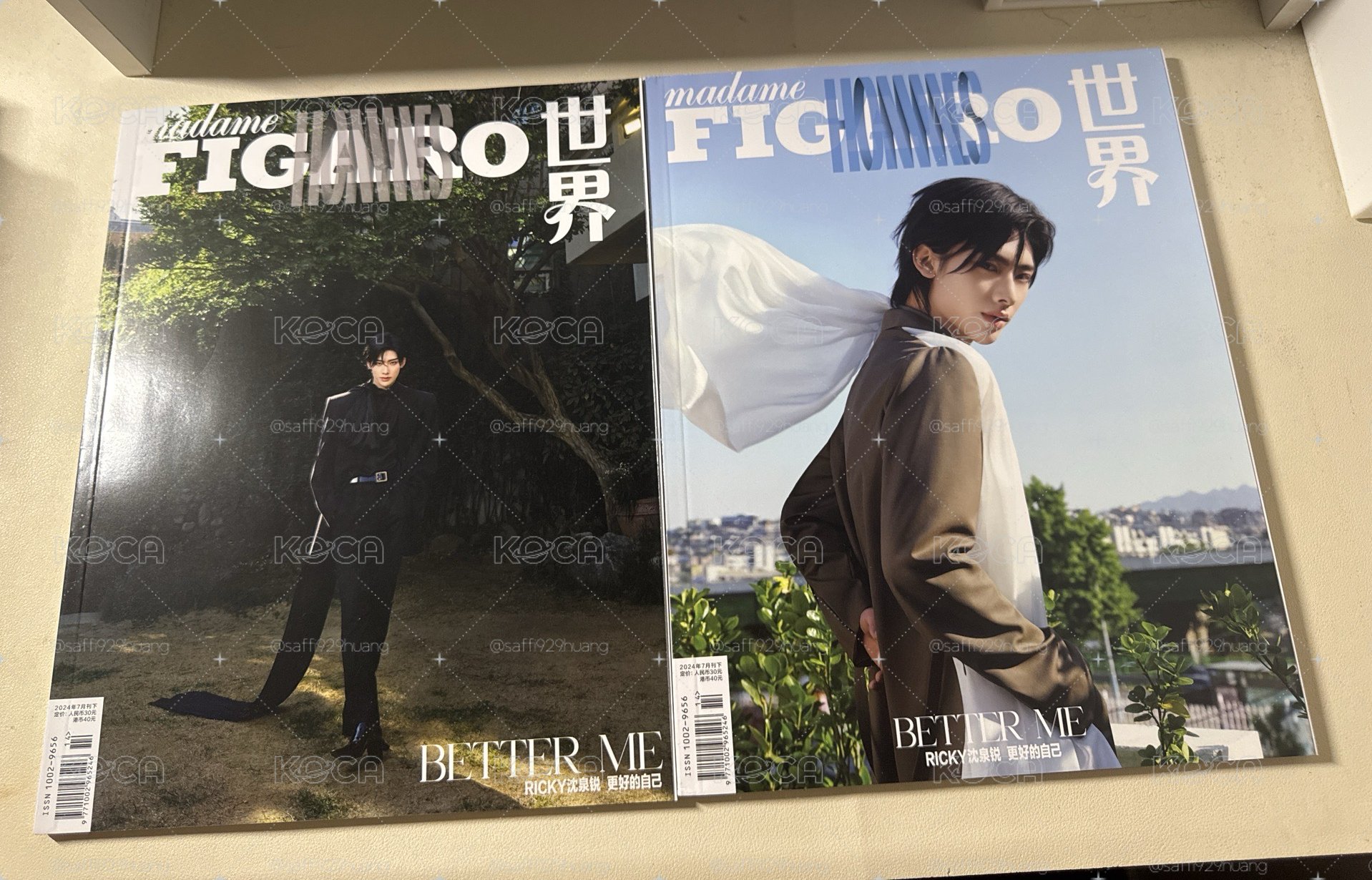 沈泉銳費加羅雜誌 