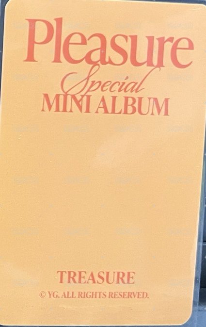 PLEASURE   卡包 周邊卡  背面