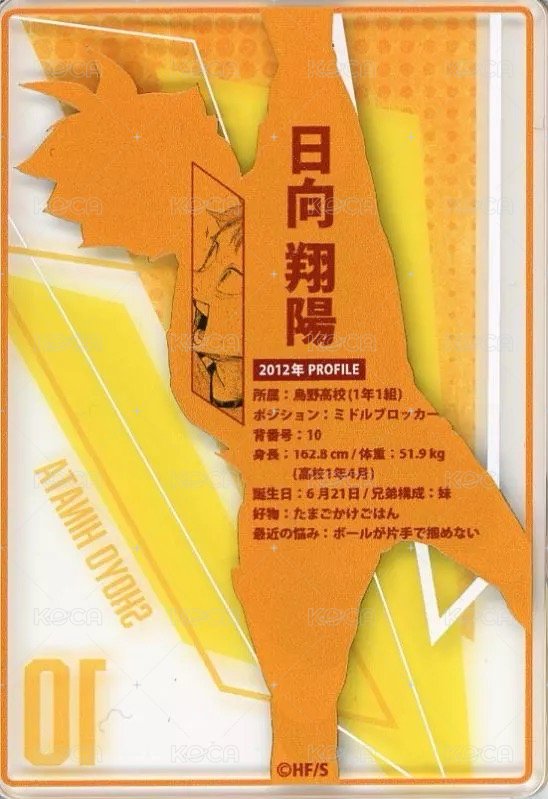 JS 第二彈 數據卡  背面
