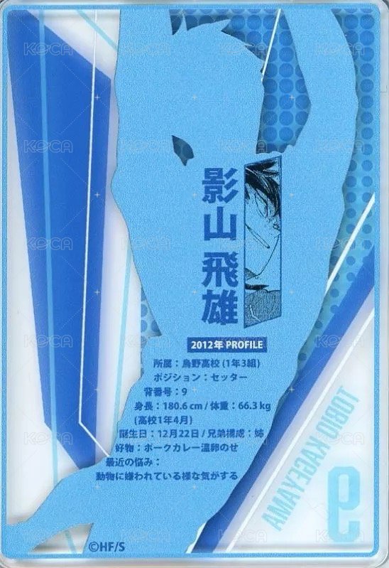 JS 第二彈 數據卡  背面