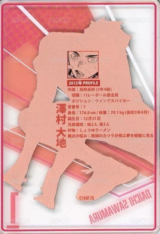 JS 第二彈 數據卡  背面