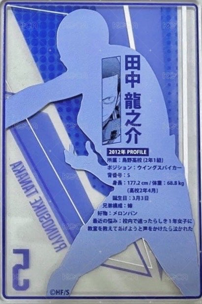 JS 第二彈 數據卡  背面