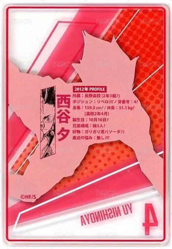 JS 第二彈 數據卡  背面