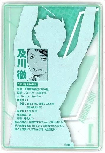 JS 第二彈 數據卡  背面