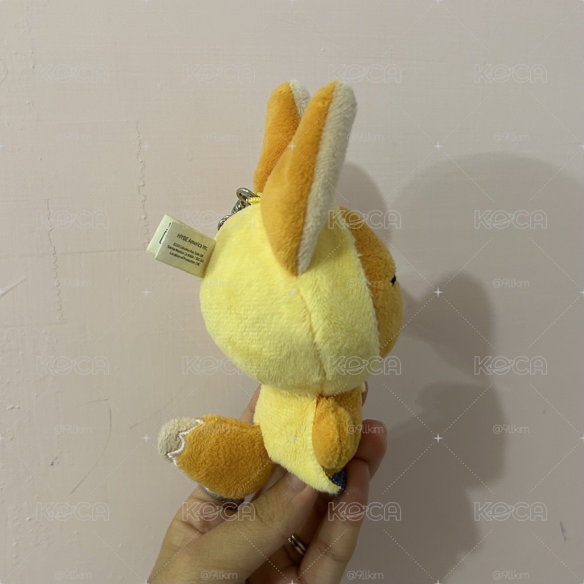 原皮黃春 附原袋