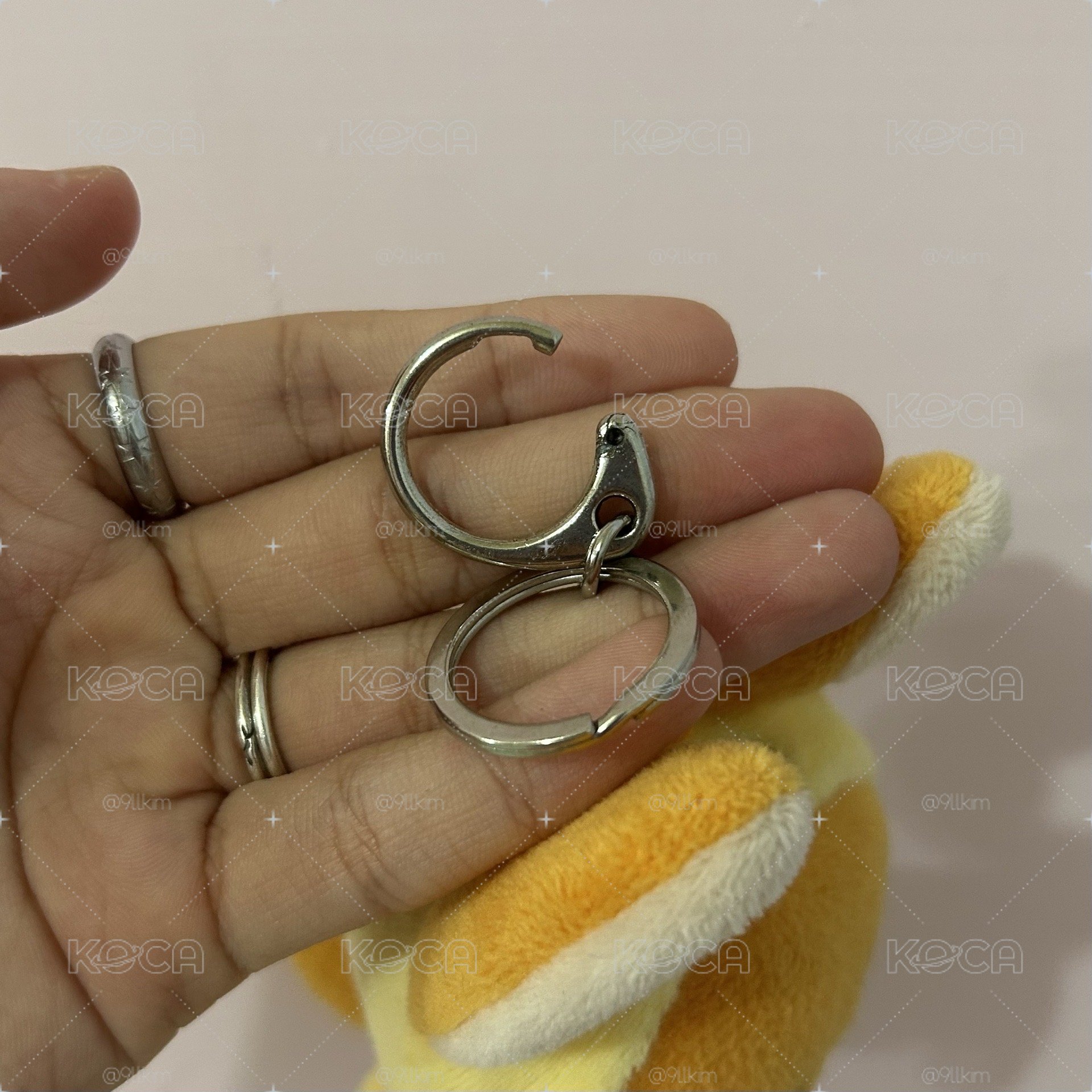 原皮黃春 附原袋