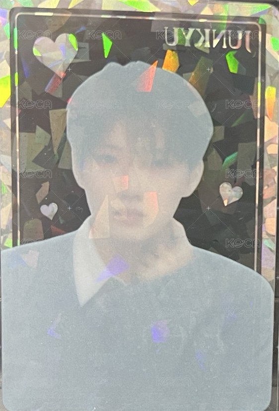 PLEASURE   卡包 周邊卡  背面