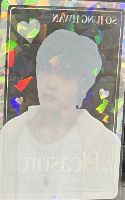 PLEASURE   卡包 周邊卡  背面