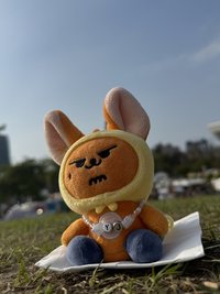 鋼球剛 