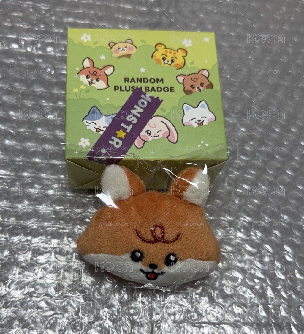 Dreamiez 隨機大頭別針盲盒 仁俊 全新