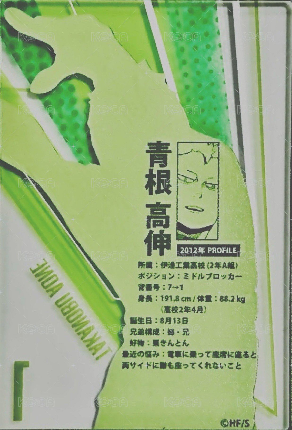JS 第二彈 數據卡  背面