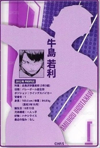 JS 第二彈 數據卡  背面