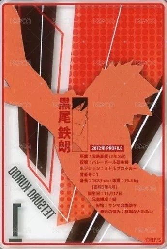 JS 第二彈 數據卡  背面
