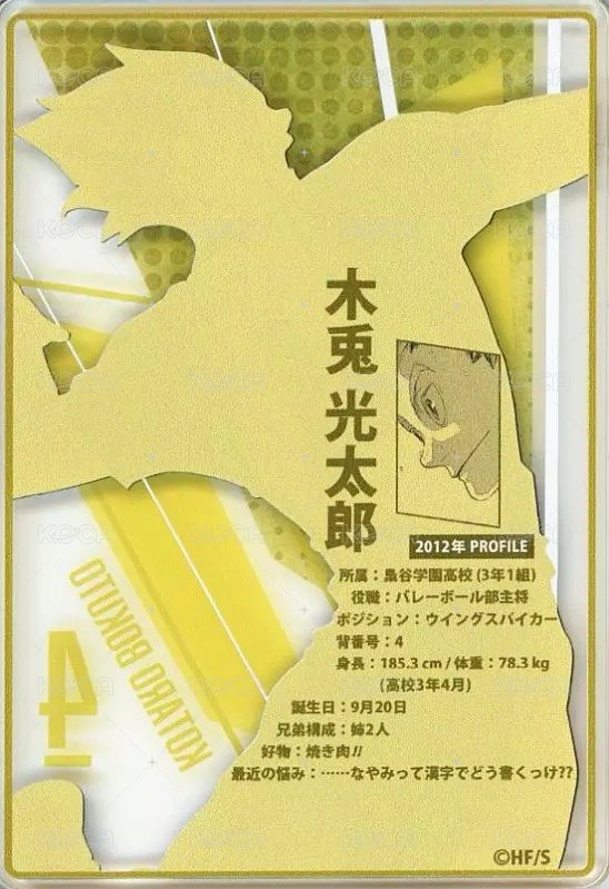 JS 第二彈 數據卡  背面