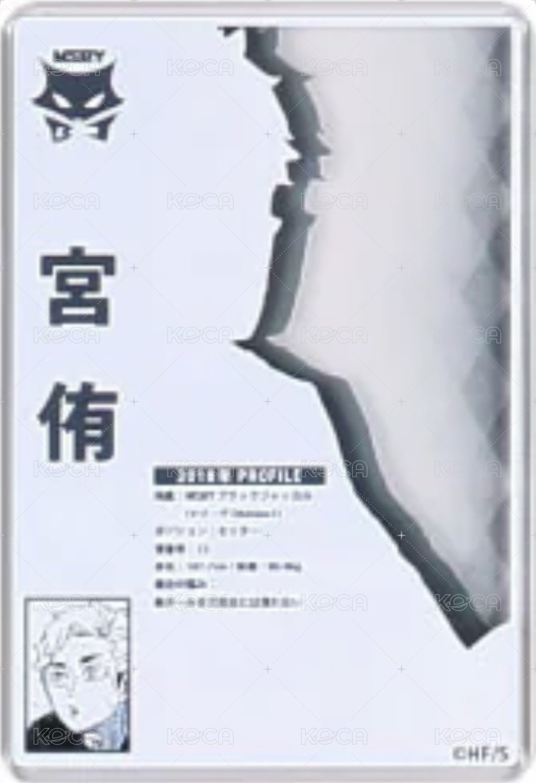 JS 第一彈 數據卡  背面