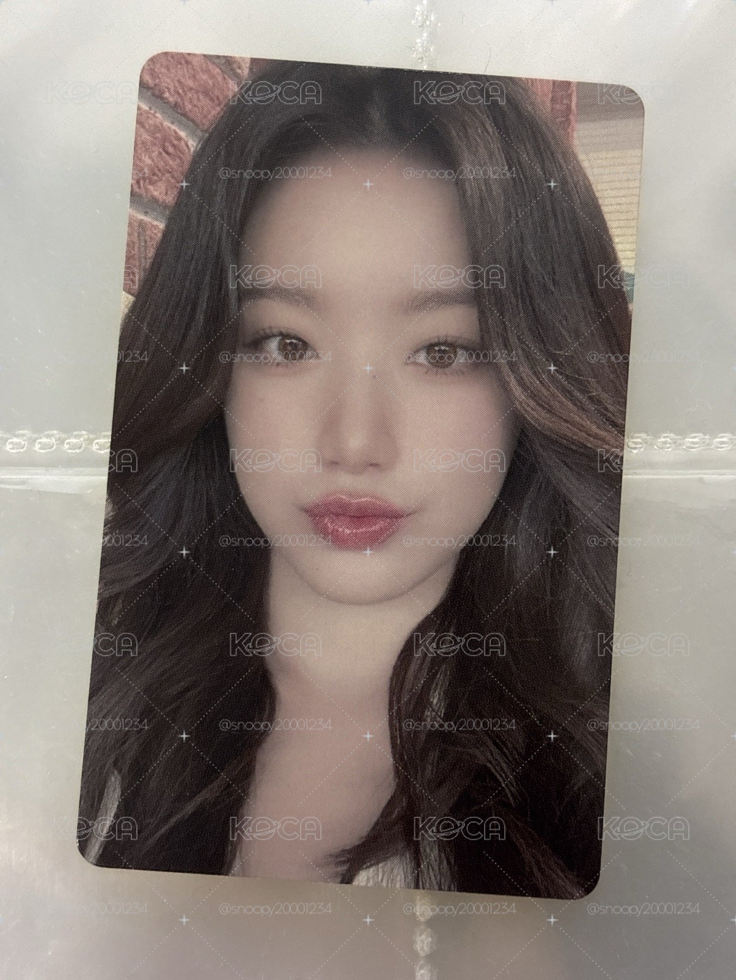 舒華 kkt 預售 特典卡刷💜