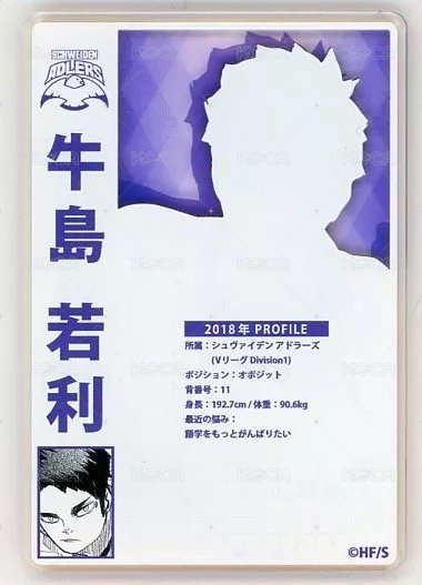 JS 第一彈 數據卡  背面