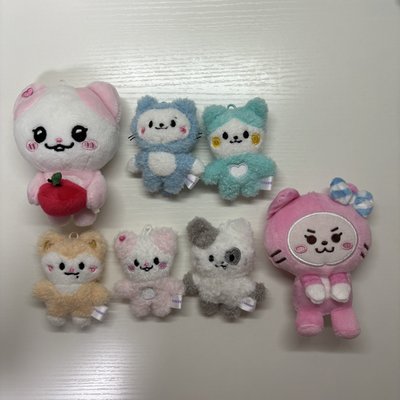 娃盤｜只盤出｜送官週