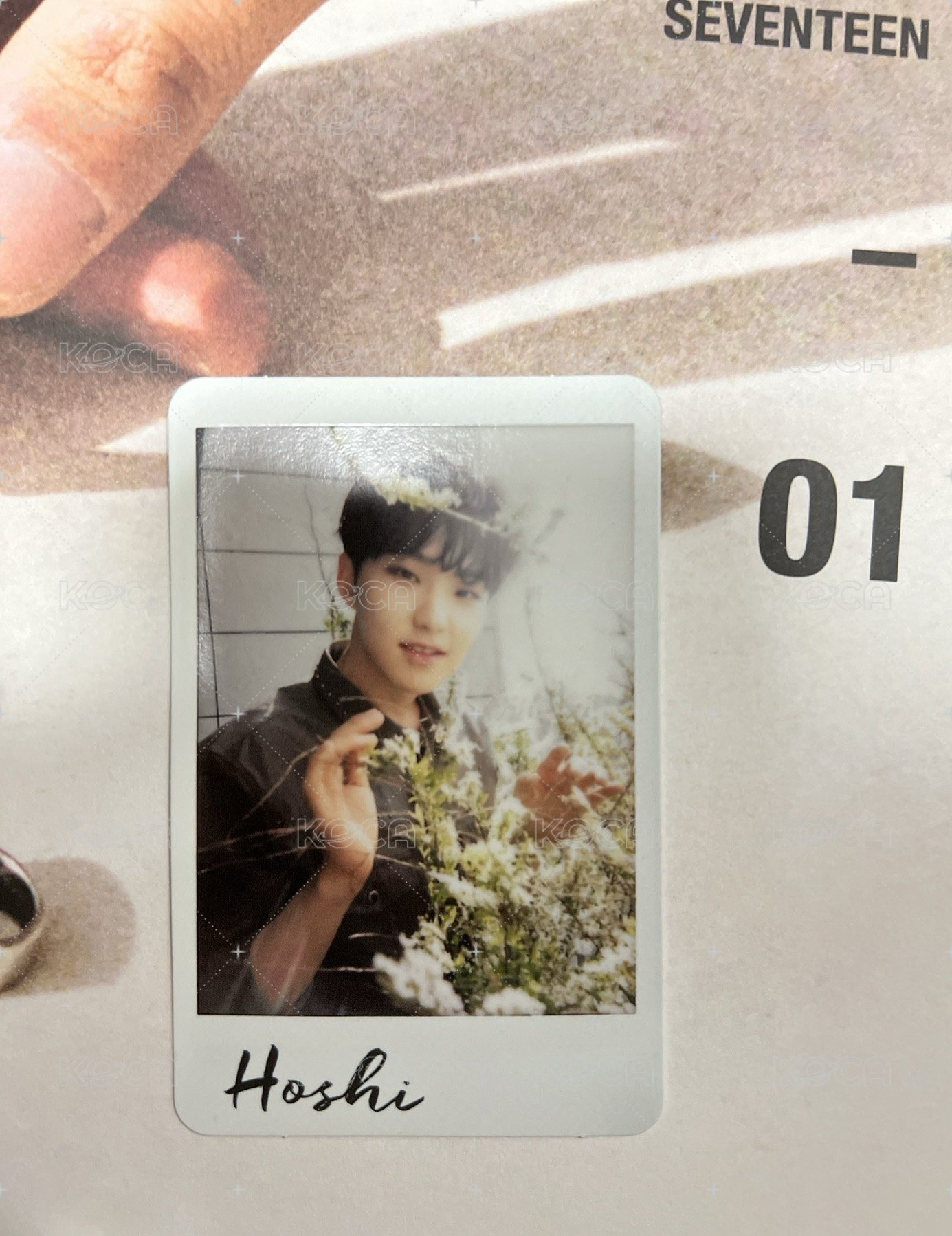 Hoshi（多帶20） 
