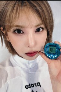 🐋C6（特殊卡背）