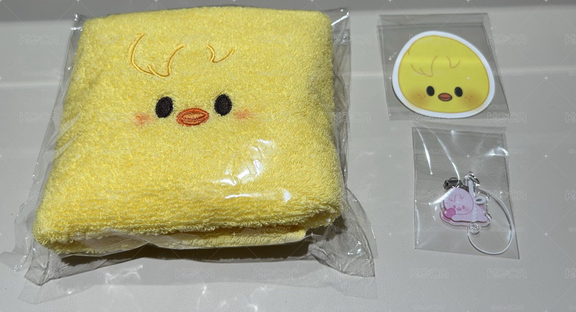 Stray Kids Felix 6th 入場禮
