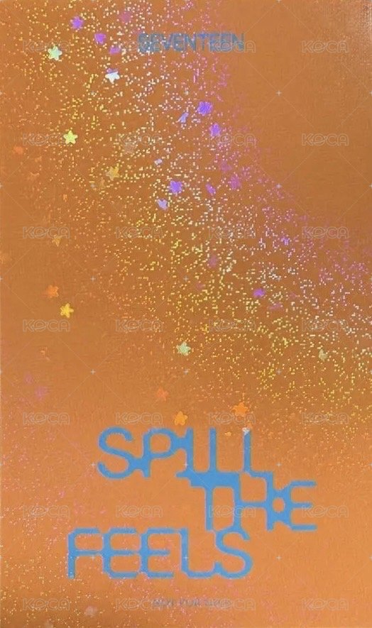 MINI12 塔店 抽選卡  背面