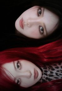 柚子狗狗