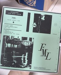 迷10 FML綠版（僅無小卡）