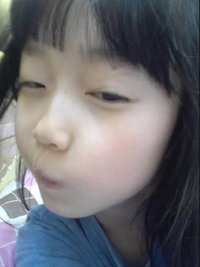 sana的柴犬