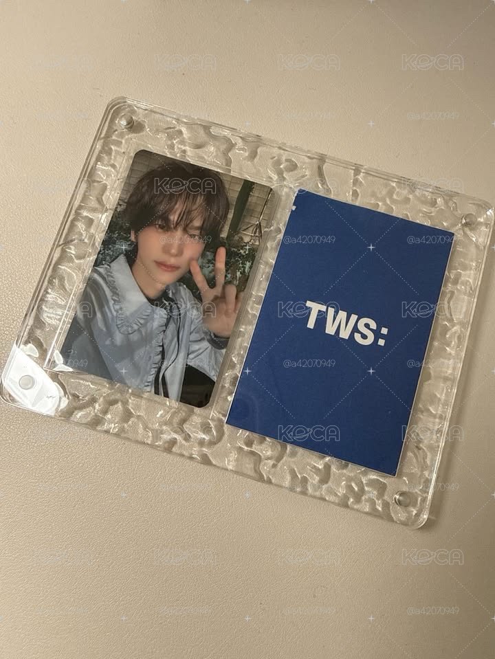 TWS 申惟盤